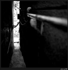 dailyPhoto40
